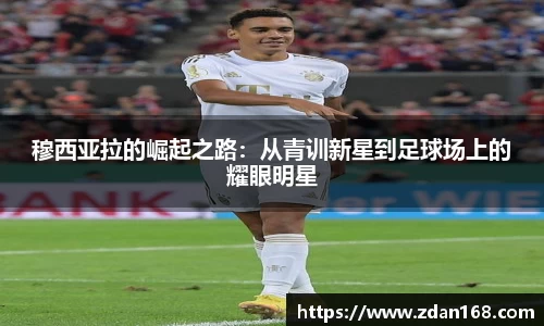 NG体育官网