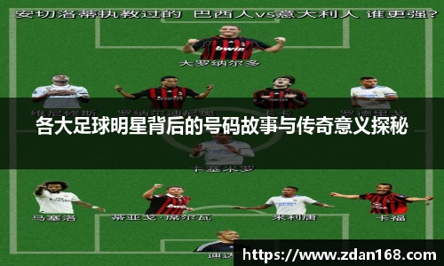 NG体育官网