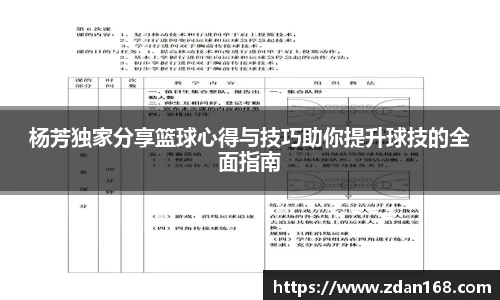 杨芳独家分享篮球心得与技巧助你提升球技的全面指南